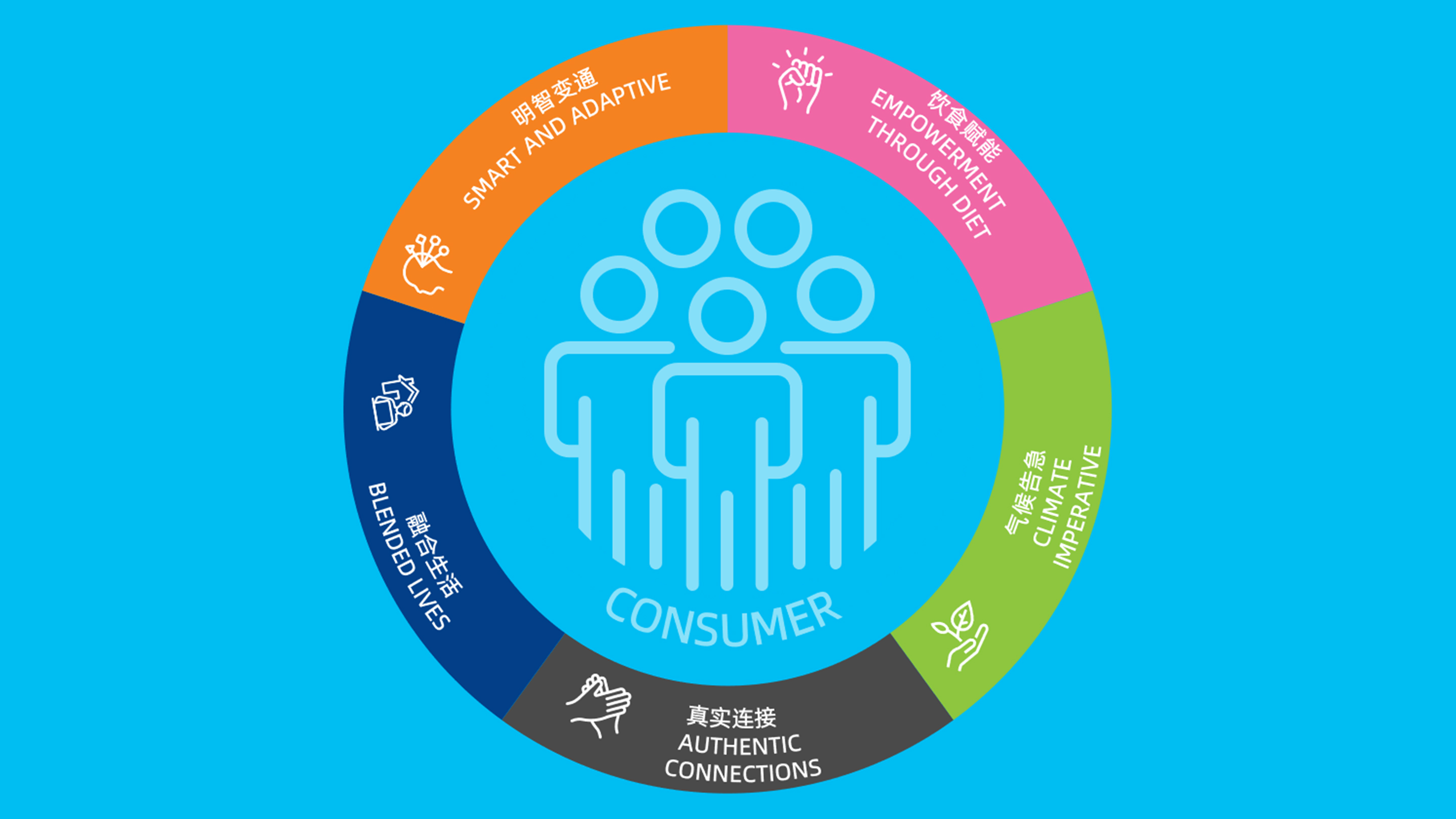 consumer wheel
