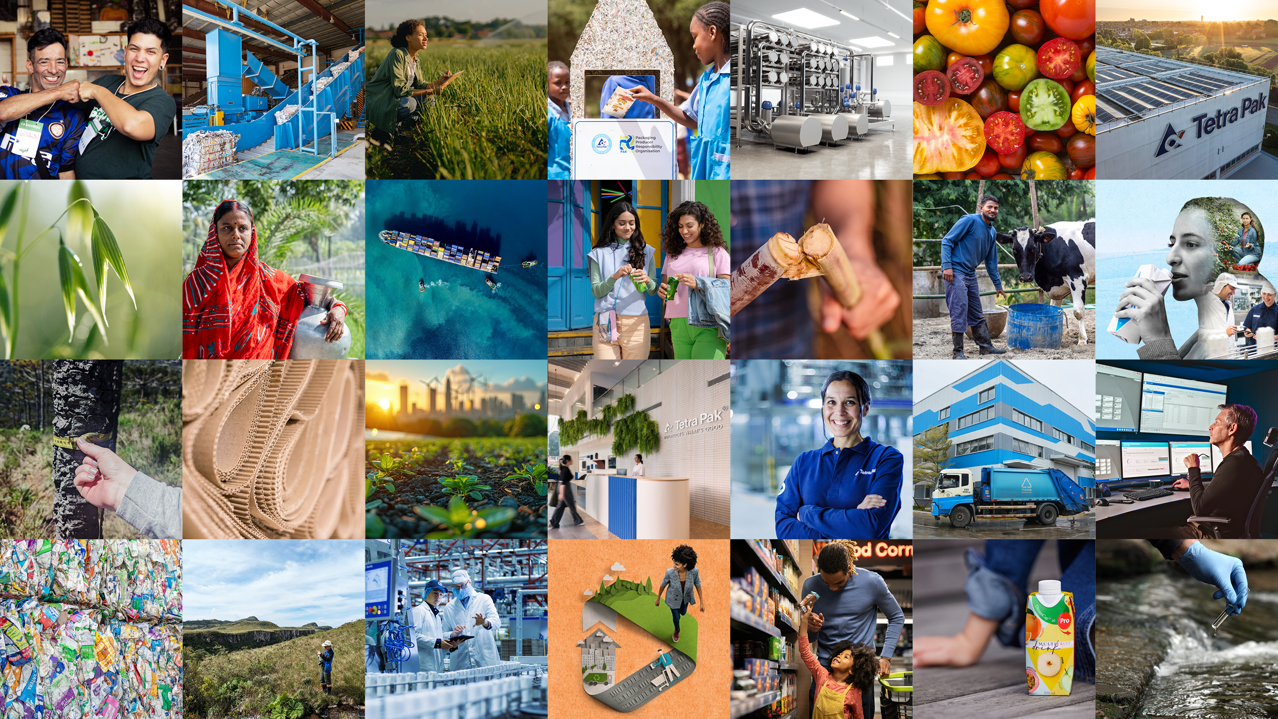Sustainability thumbnail