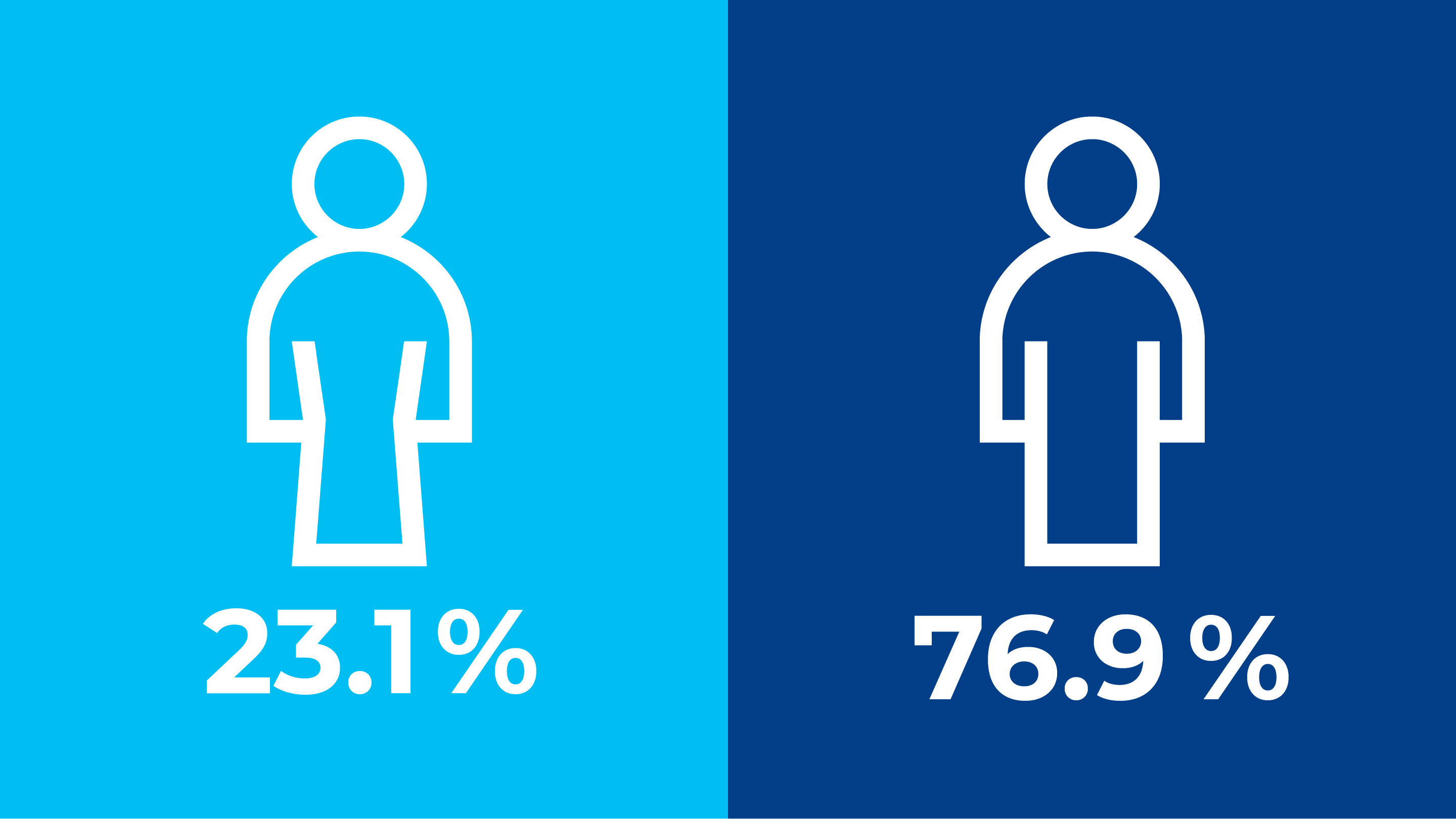 pourcentage d'employés par sexe