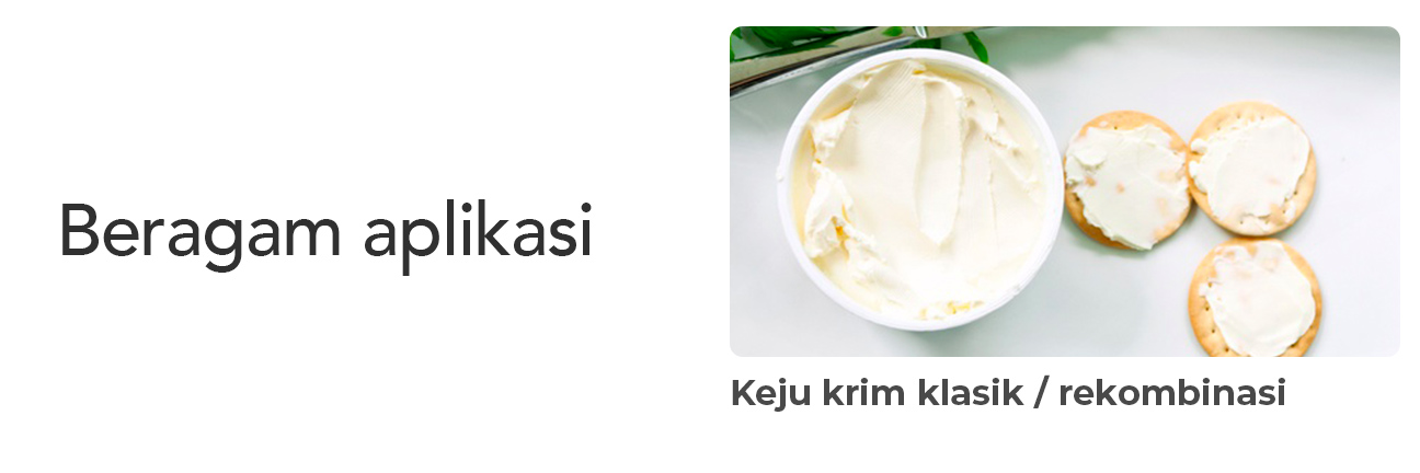 Wide range of applications, classic , recombined cream cheese