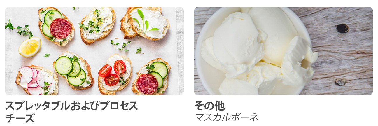 Spreadable processed cheese, others e.g. mascarpone
