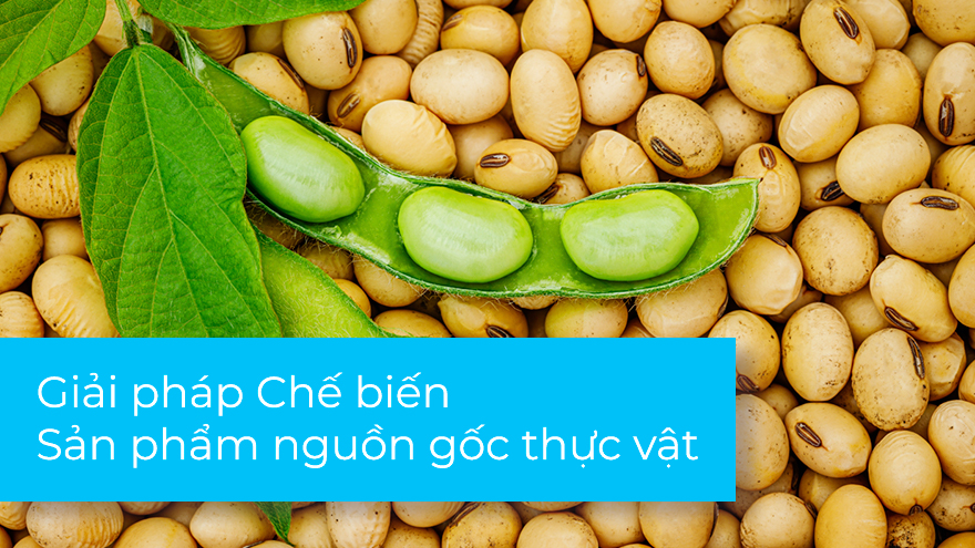 Giải pháp Chế biến Sản phẩm nguồn gốc thực vật