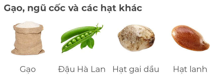 Gạo, Đậu Hà Lan, Hạt gai dầu, Hạt lanh