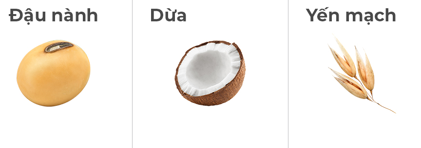 Soy,coconut,oats