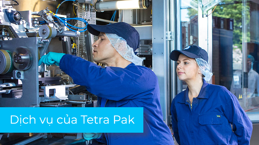 dịch vụ của tetra pak